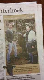 krant